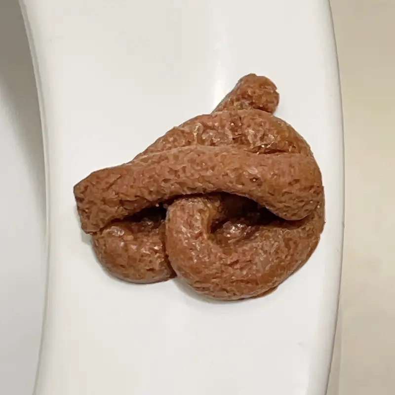 Realistyczna, unosząca się szt – Fake Poop Gag Gift recenzja i cena