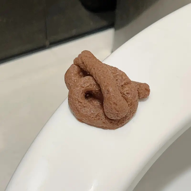 Realistyczna, unosząca się szt – Fake Poop Gag Gift recenzja i cena