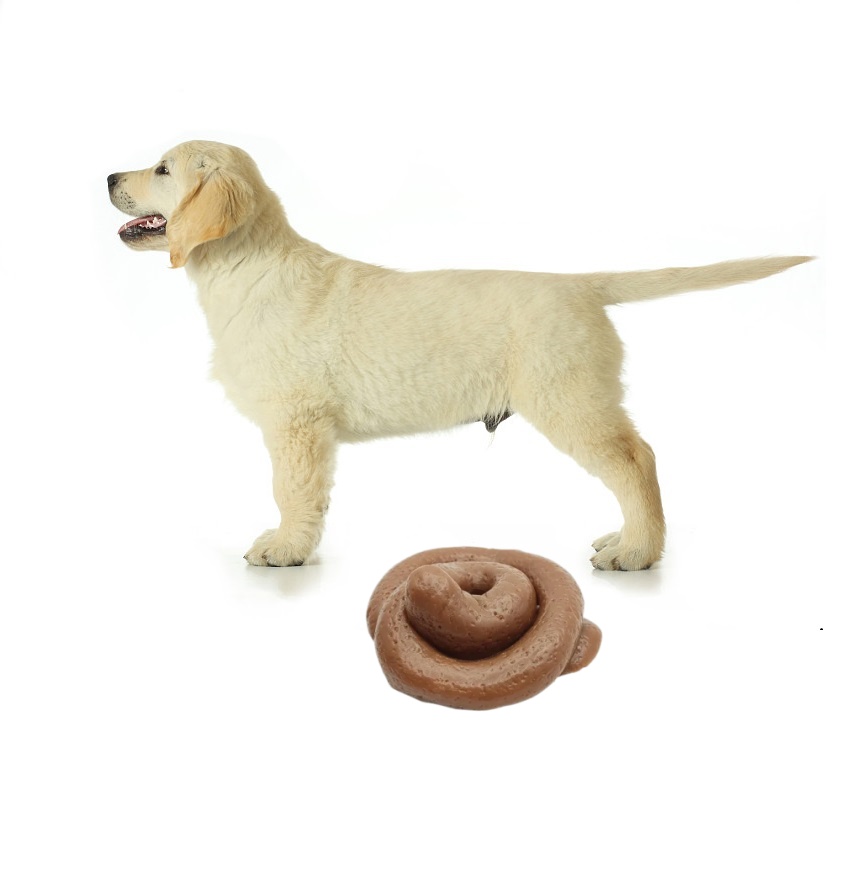 Zabawna zabawka do psikusów w  – Fake Poop Gag Gift recenzja i cena