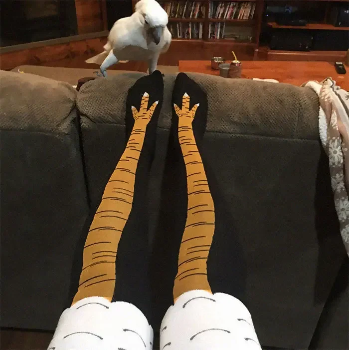 40Pairs 3D Funny Chicken Claw  – Funny Chicken Leg Socks recenzja i cena