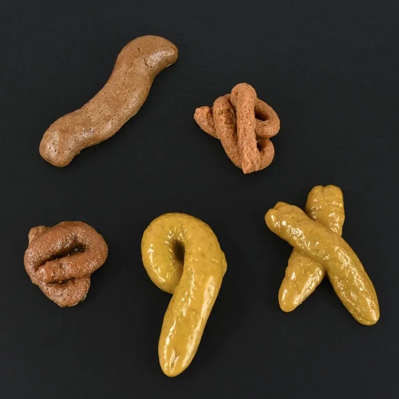 Realistyczna, bezpieczna i mię – Fake Poop Gag Gift recenzja i cena